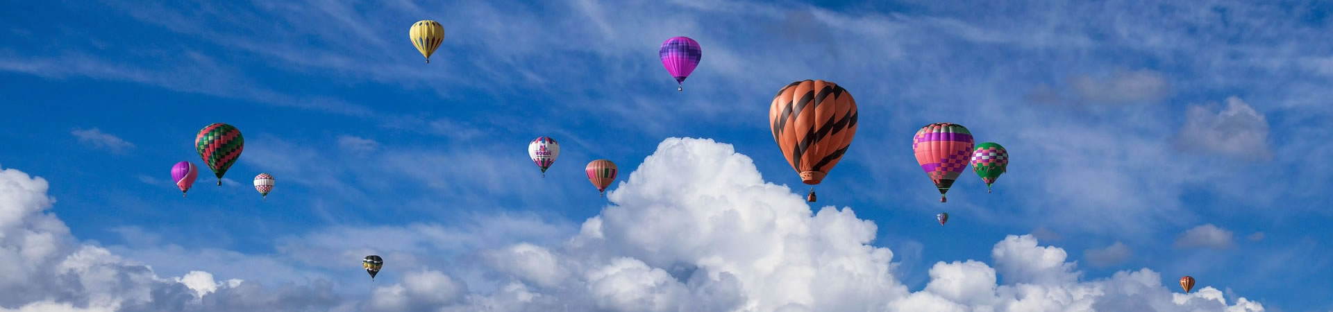 美女狗狗qq交流群